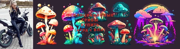 СК Абинск