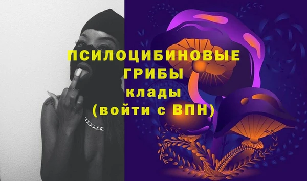 СК Абинск