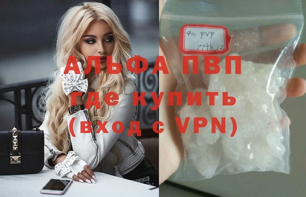 СК Абинск