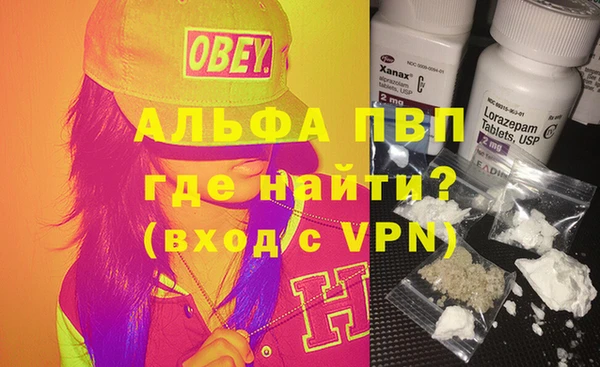 СК Абинск